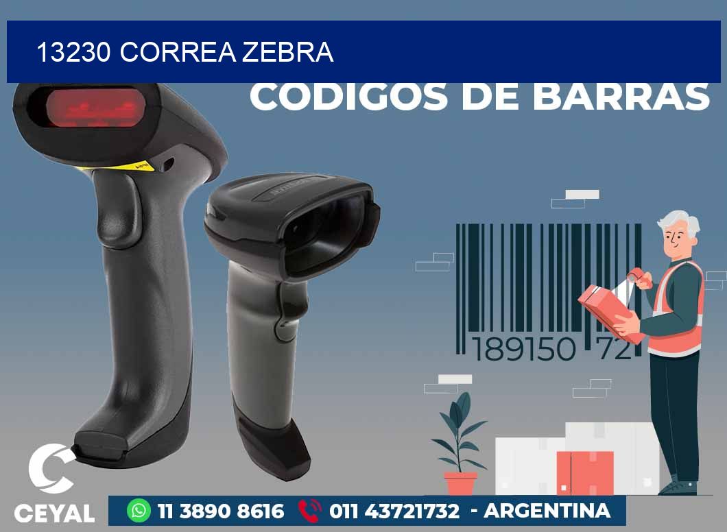 13230 CORREA ZEBRA