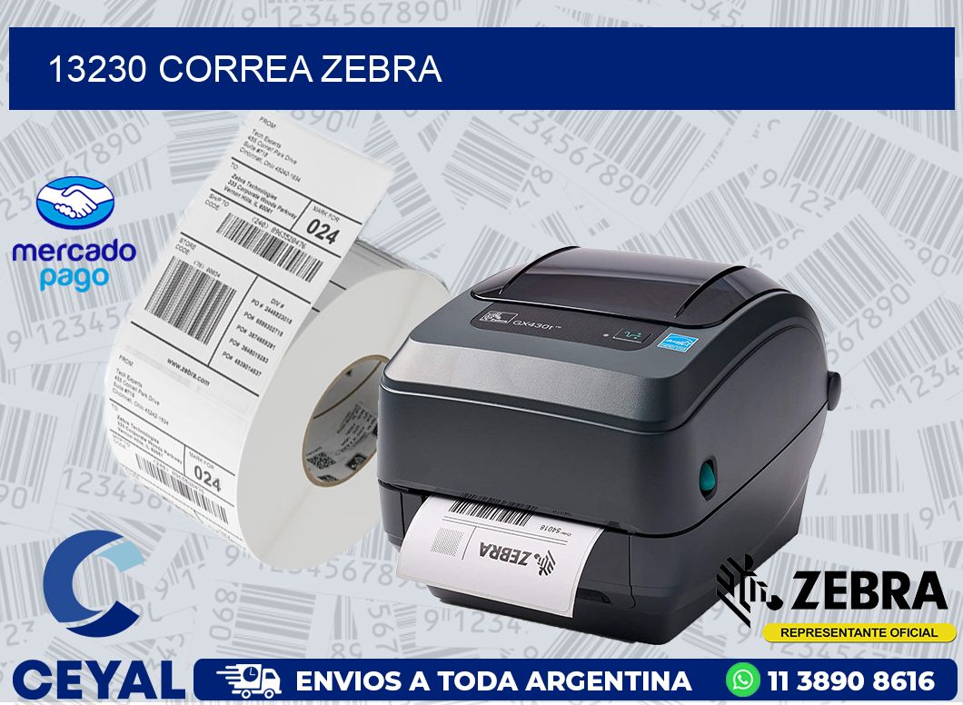 13230 CORREA ZEBRA