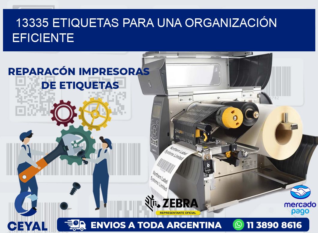 13335 ETIQUETAS PARA UNA ORGANIZACIÓN EFICIENTE