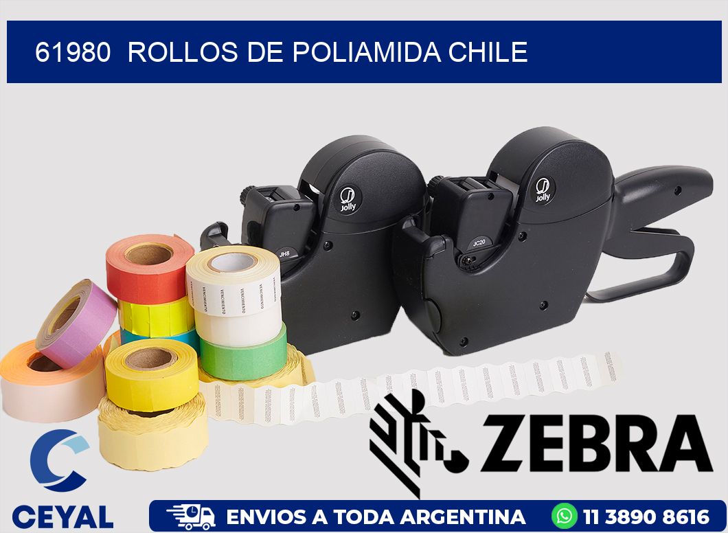 61980  ROLLOS DE POLIAMIDA CHILE