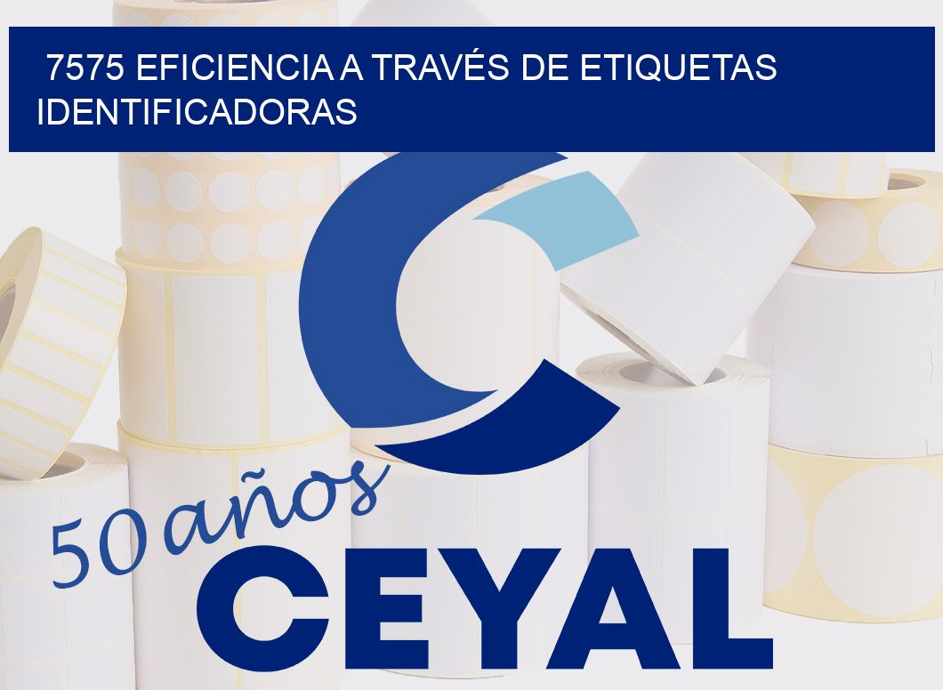 7575 EFICIENCIA A TRAVÉS DE ETIQUETAS IDENTIFICADORAS