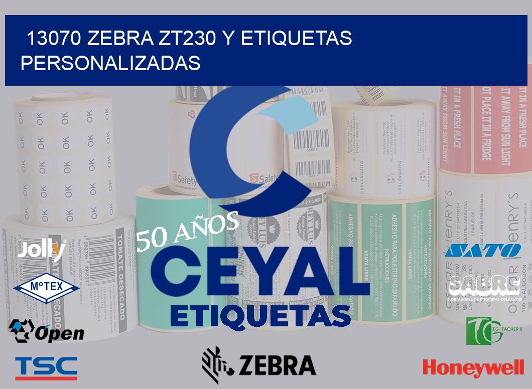 13070 Zebra ZT230 y Etiquetas Personalizadas