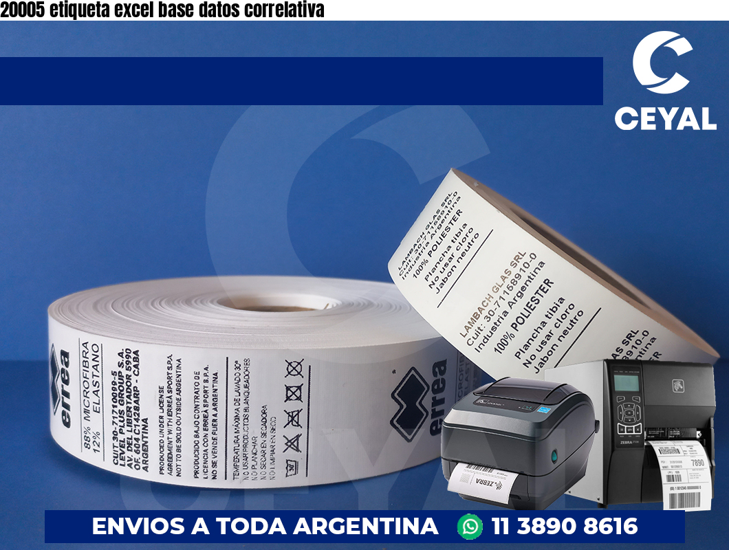 20005 etiqueta excel base datos correlativa