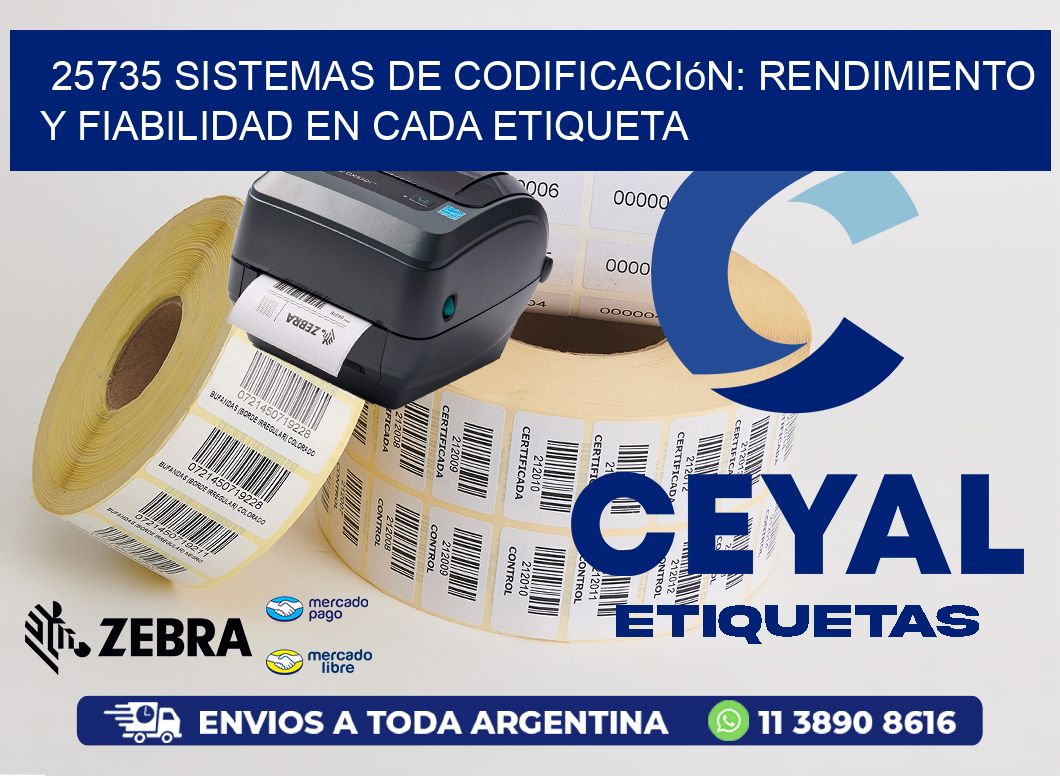 25735 Sistemas de Codificación: Rendimiento y Fiabilidad en Cada Etiqueta