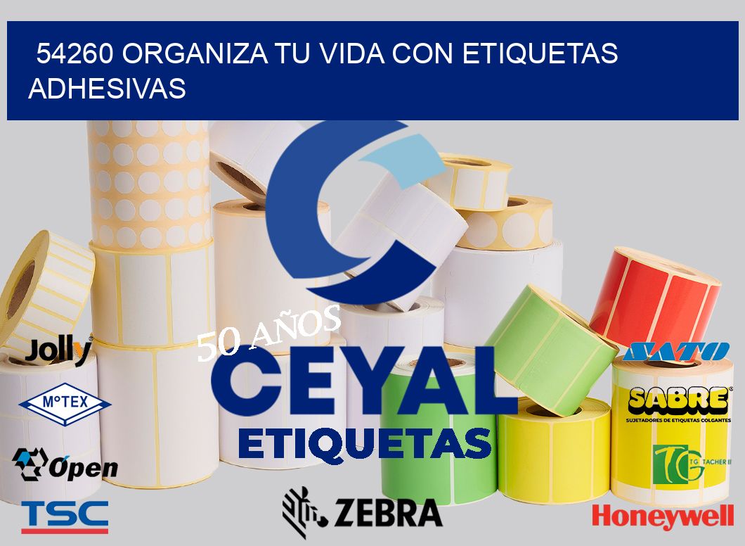 54260 ORGANIZA TU VIDA CON ETIQUETAS ADHESIVAS