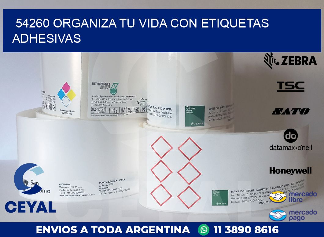 54260 ORGANIZA TU VIDA CON ETIQUETAS ADHESIVAS