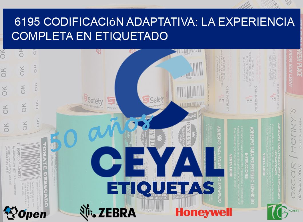 6195 Codificación Adaptativa: La Experiencia Completa en Etiquetado