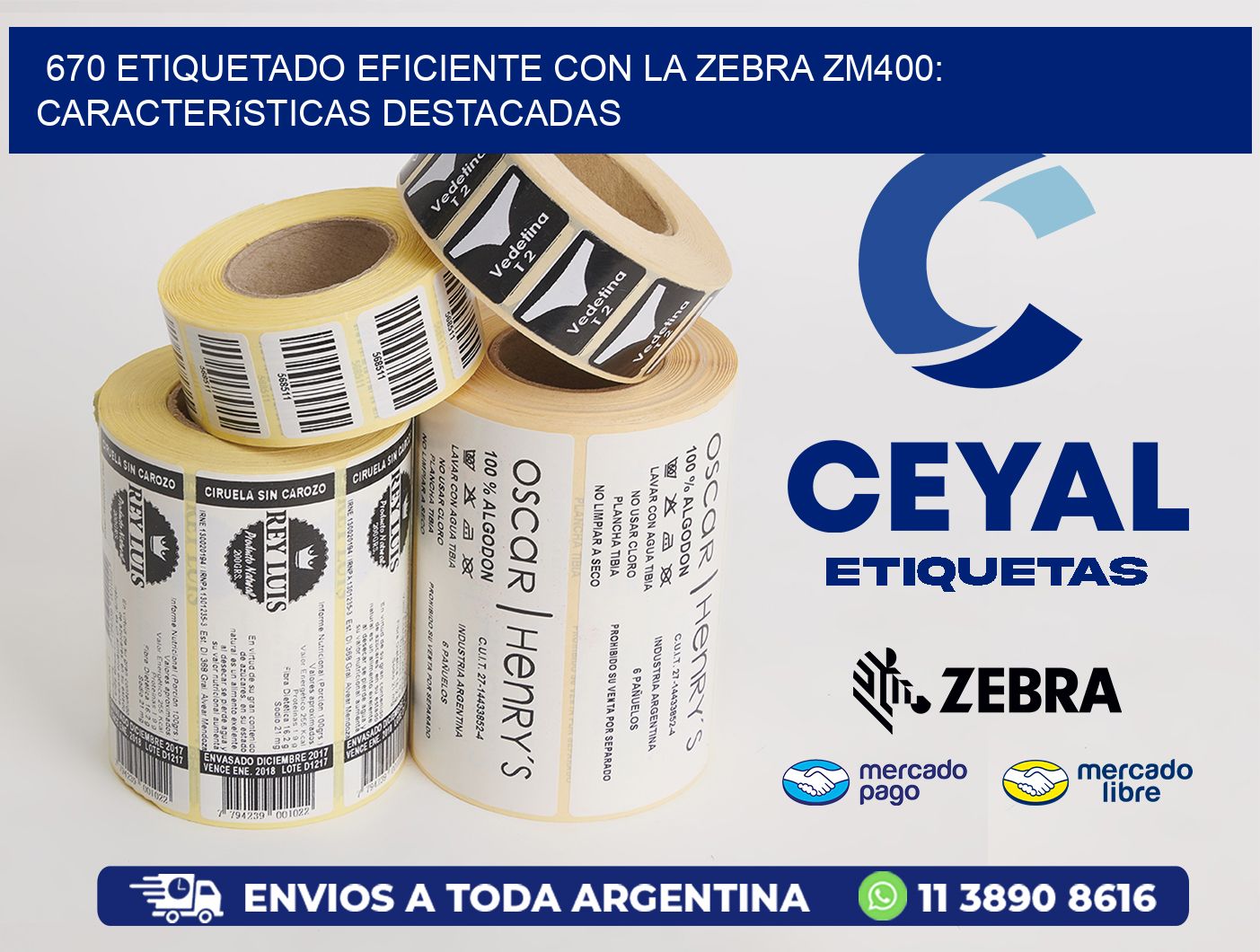 670 Etiquetado Eficiente con la Zebra ZM400: Características Destacadas