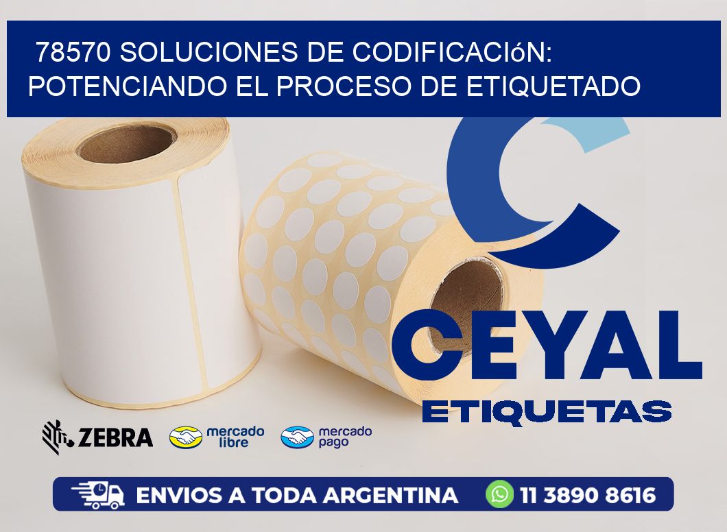 78570 Soluciones de Codificación: Potenciando el Proceso de Etiquetado