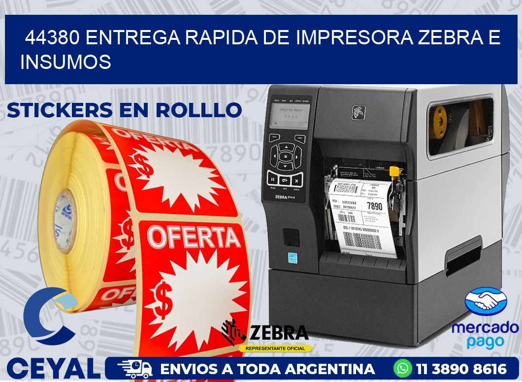 44380 ENTREGA RAPIDA DE IMPRESORA ZEBRA E INSUMOS