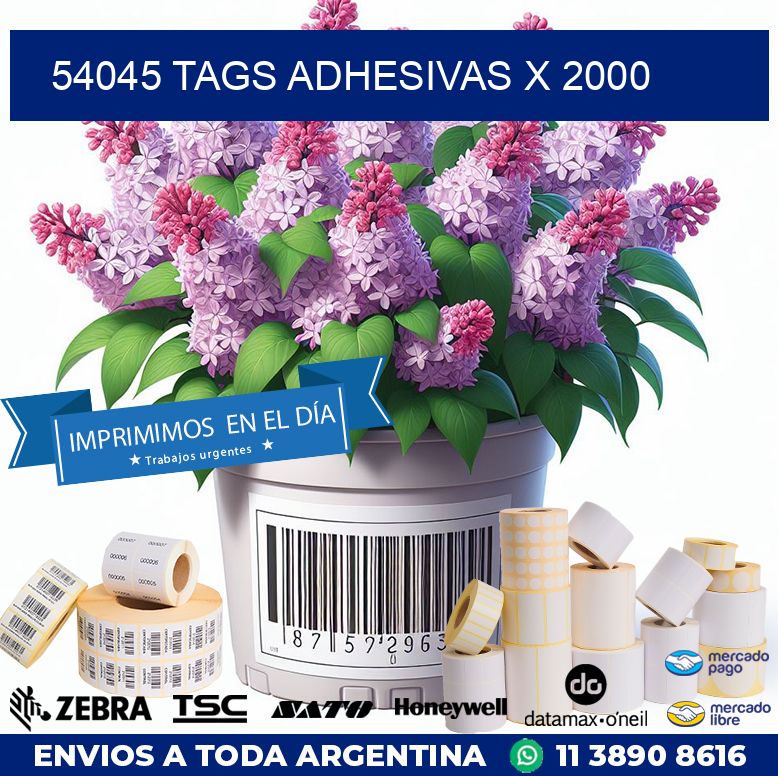 54045 TAGS ADHESIVAS X 2000