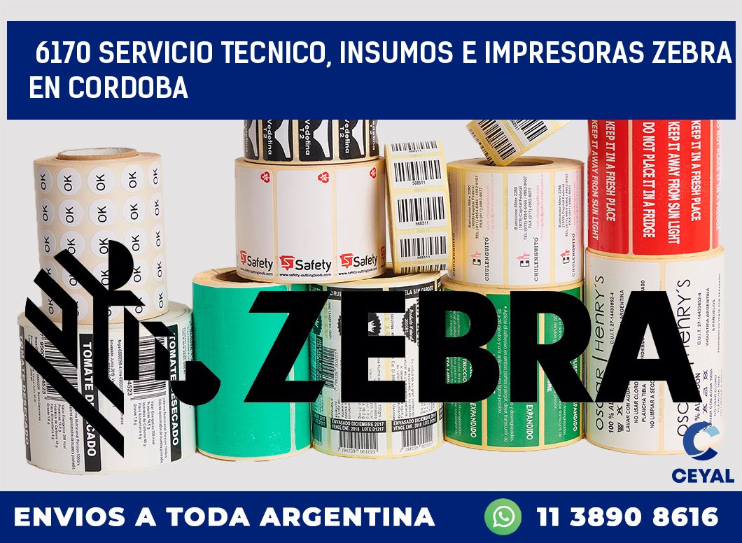 6170 SERVICIO TECNICO, INSUMOS E IMPRESORAS ZEBRA EN CORDOBA
