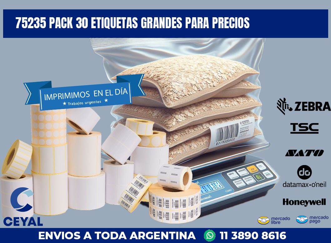 75235 PACK 30 ETIQUETAS GRANDES PARA PRECIOS