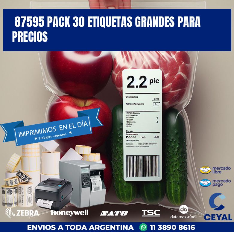 87595 PACK 30 ETIQUETAS GRANDES PARA PRECIOS