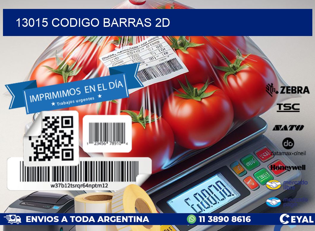 13015 CODIGO BARRAS 2D