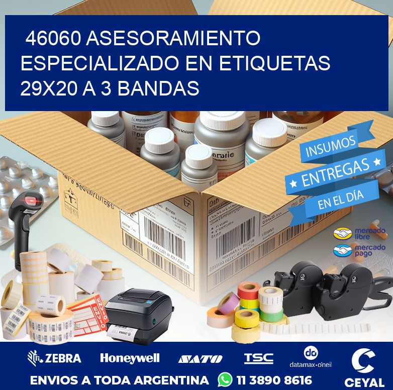 46060 ASESORAMIENTO ESPECIALIZADO EN ETIQUETAS 29X20 A 3 BANDAS