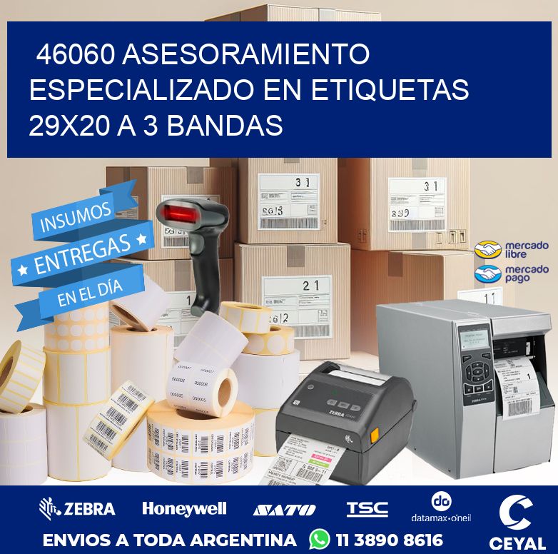 46060 ASESORAMIENTO ESPECIALIZADO EN ETIQUETAS 29X20 A 3 BANDAS