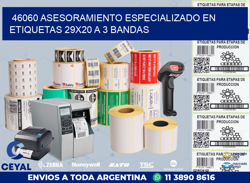 46060 ASESORAMIENTO ESPECIALIZADO EN ETIQUETAS 29X20 A 3 BANDAS