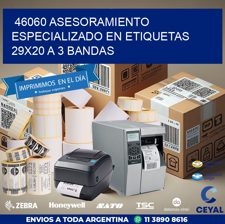 46060 ASESORAMIENTO ESPECIALIZADO EN ETIQUETAS 29X20 A 3 BANDAS