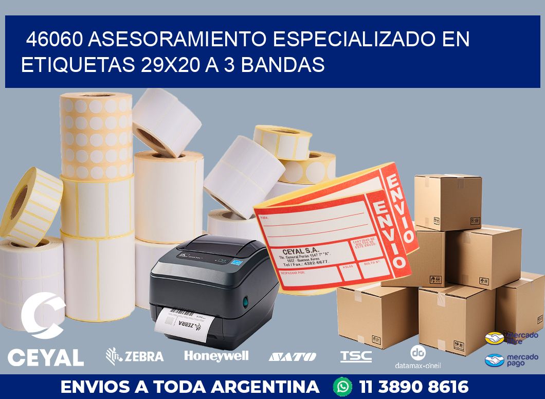 46060 ASESORAMIENTO ESPECIALIZADO EN ETIQUETAS 29X20 A 3 BANDAS