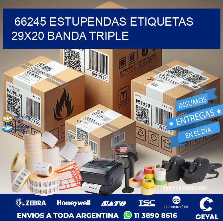 66245 ESTUPENDAS ETIQUETAS 29X20 BANDA TRIPLE