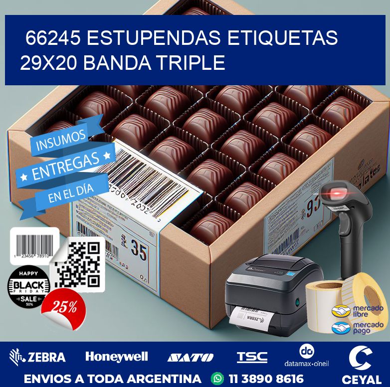 66245 ESTUPENDAS ETIQUETAS 29X20 BANDA TRIPLE