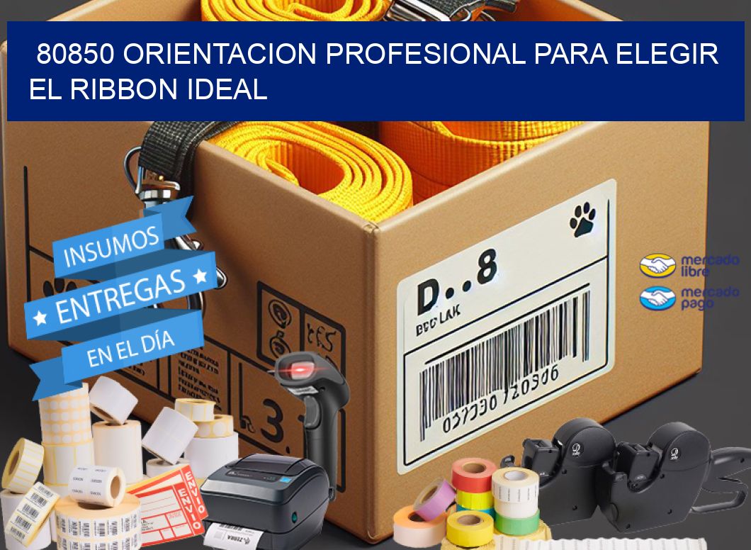 80850 ORIENTACION PROFESIONAL PARA ELEGIR EL RIBBON IDEAL