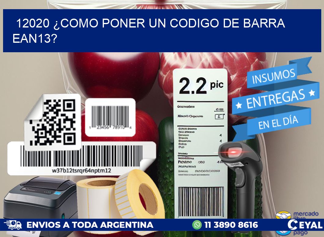 12020 ¿COMO PONER UN CODIGO DE BARRA  EAN13?