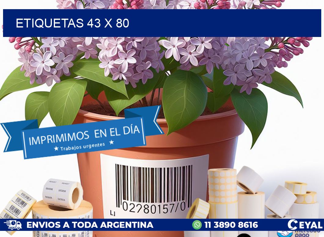 ETIQUETAS 43 x 80
