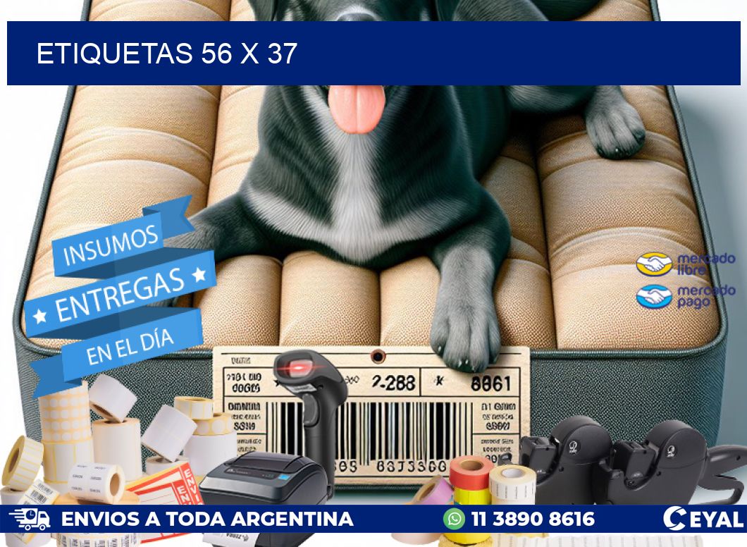 ETIQUETAS 56 x 37