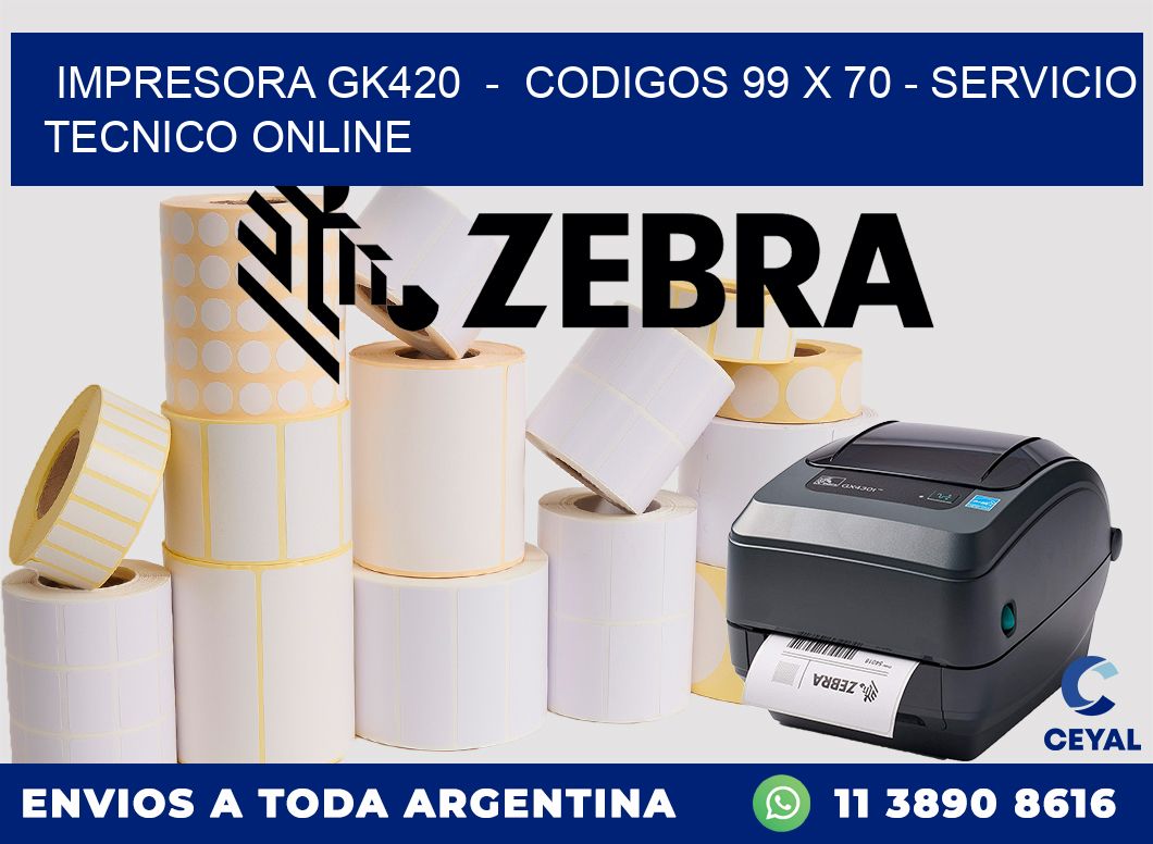 IMPRESORA GK420  -  CODIGOS 99 x 70 - SERVICIO TECNICO ONLINE