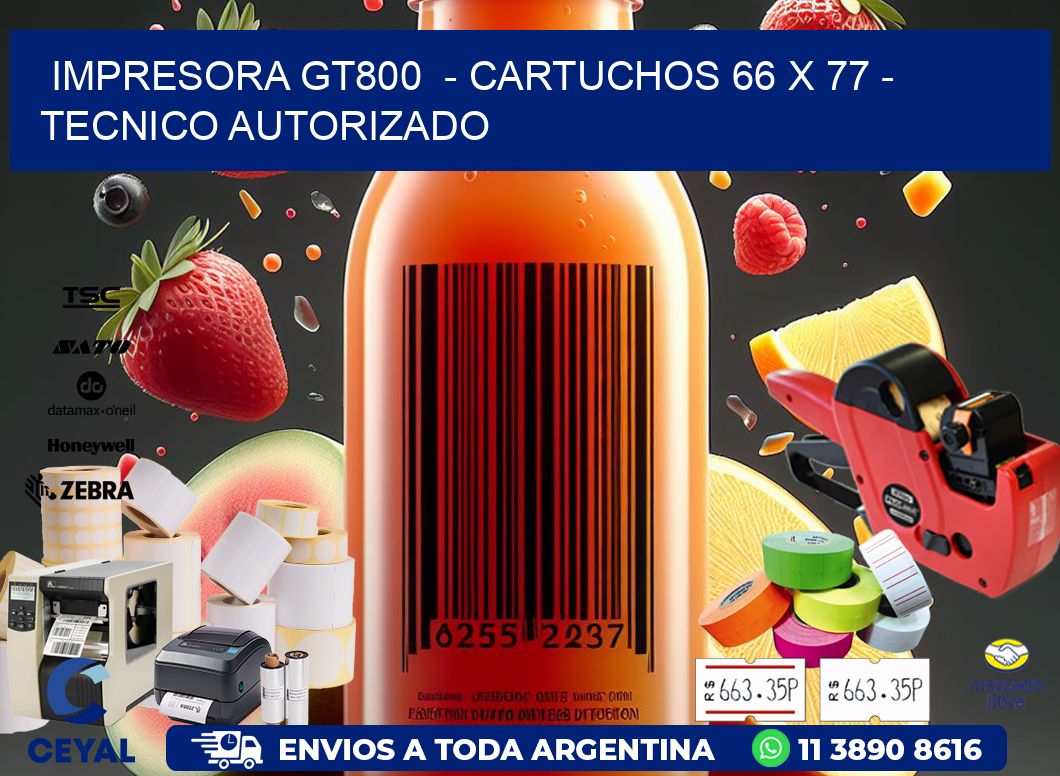 IMPRESORA GT800  - CARTUCHOS 66 x 77 - TECNICO AUTORIZADO