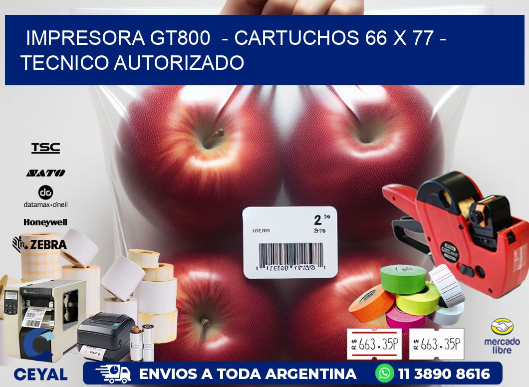 IMPRESORA GT800  - CARTUCHOS 66 x 77 - TECNICO AUTORIZADO