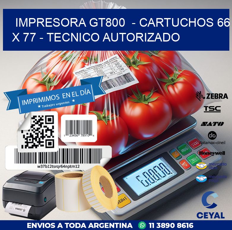 IMPRESORA GT800  – CARTUCHOS 66 x 77 – TECNICO AUTORIZADO