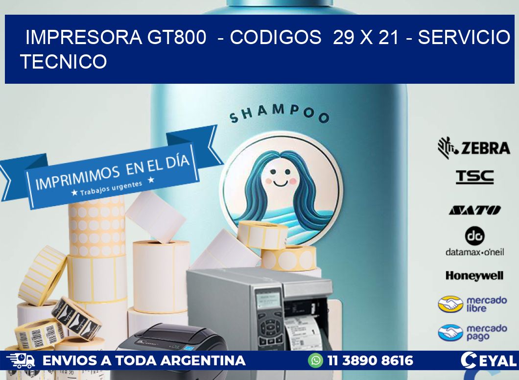 IMPRESORA GT800  - CODIGOS  29 x 21 - SERVICIO TECNICO