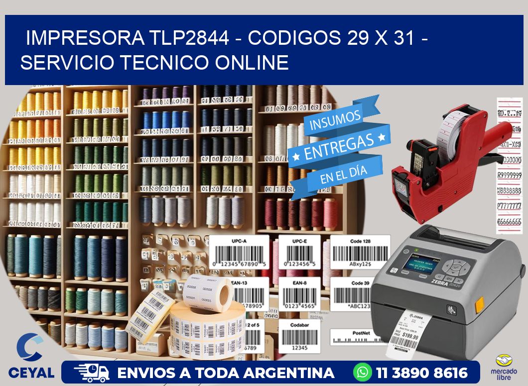 IMPRESORA TLP2844 - CODIGOS 29 x 31 - SERVICIO TECNICO ONLINE