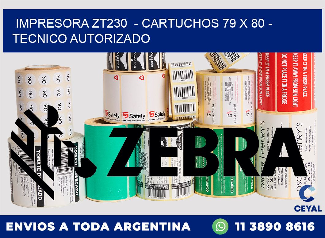 IMPRESORA ZT230  - CARTUCHOS 79 x 80 - TECNICO AUTORIZADO