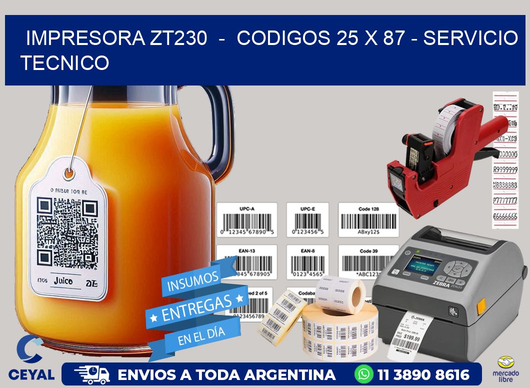 IMPRESORA ZT230  -  CODIGOS 25 x 87 - SERVICIO TECNICO