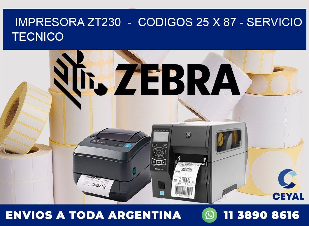 IMPRESORA ZT230  -  CODIGOS 25 x 87 - SERVICIO TECNICO