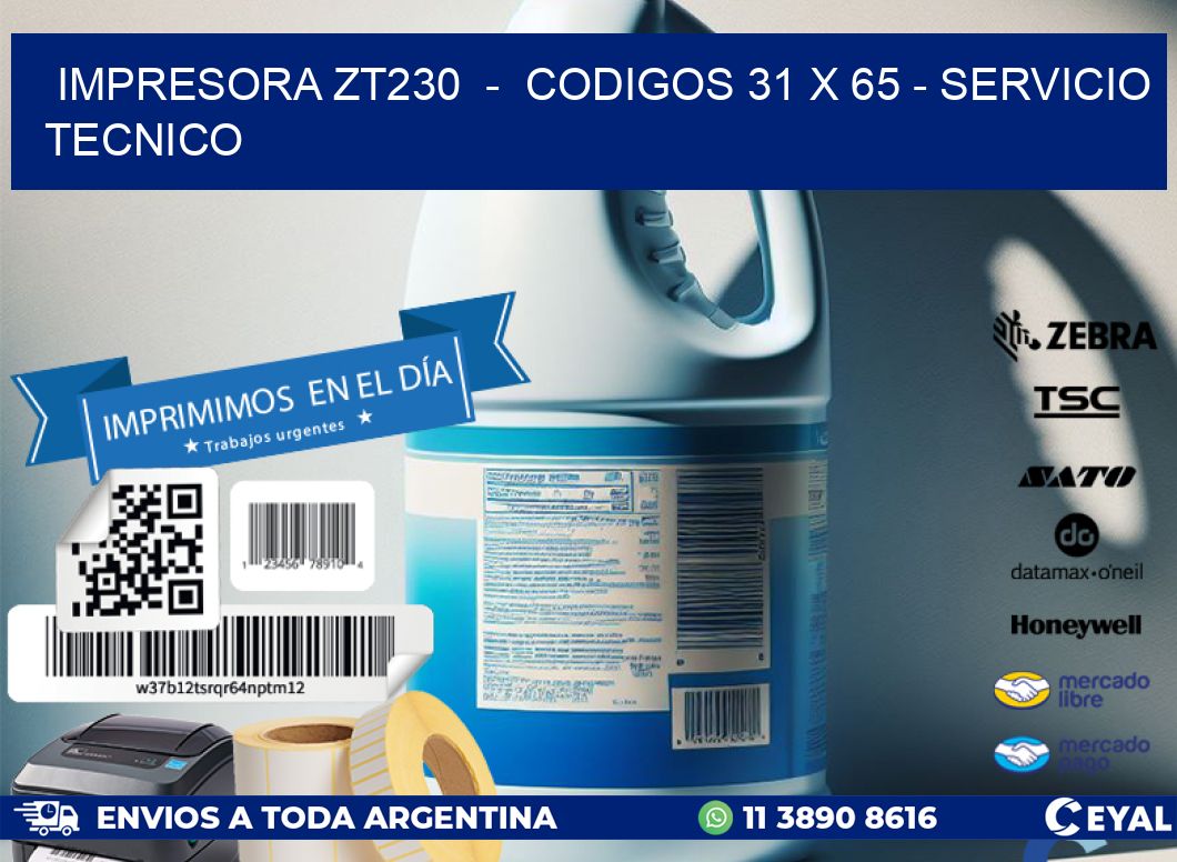 IMPRESORA ZT230  -  CODIGOS 31 x 65 - SERVICIO TECNICO
