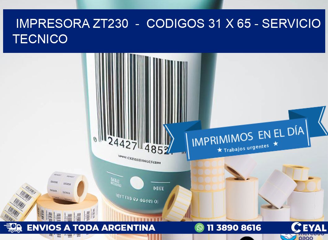 IMPRESORA ZT230  -  CODIGOS 31 x 65 - SERVICIO TECNICO