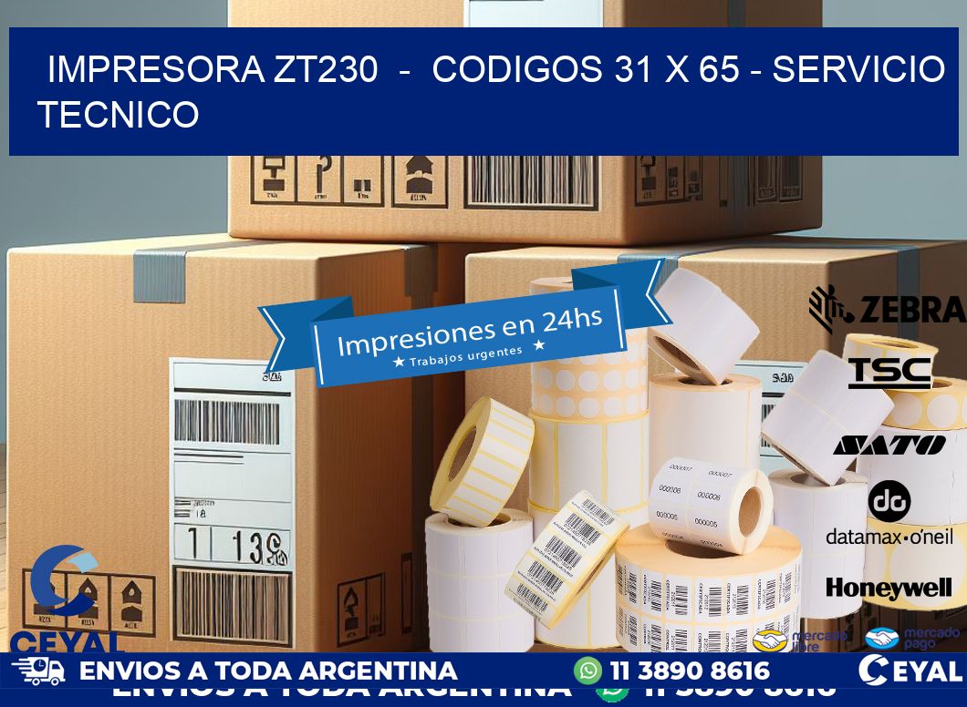 IMPRESORA ZT230  -  CODIGOS 31 x 65 - SERVICIO TECNICO