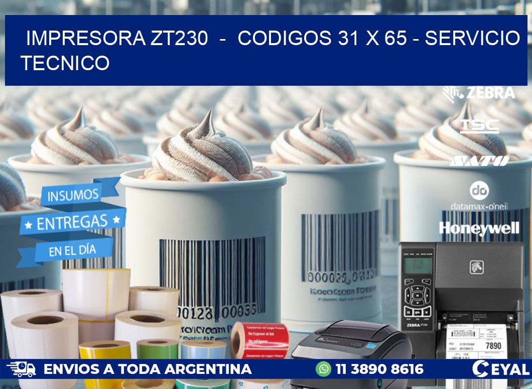 IMPRESORA ZT230  -  CODIGOS 31 x 65 - SERVICIO TECNICO