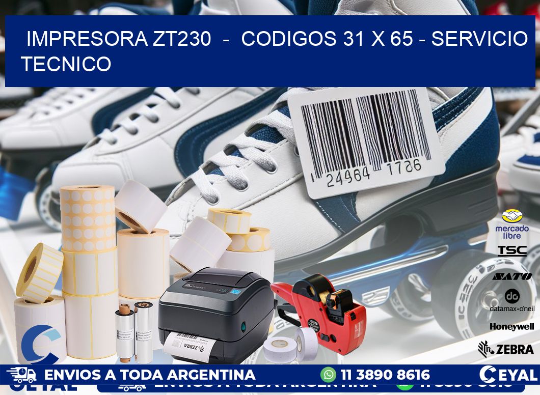 IMPRESORA ZT230  -  CODIGOS 31 x 65 - SERVICIO TECNICO