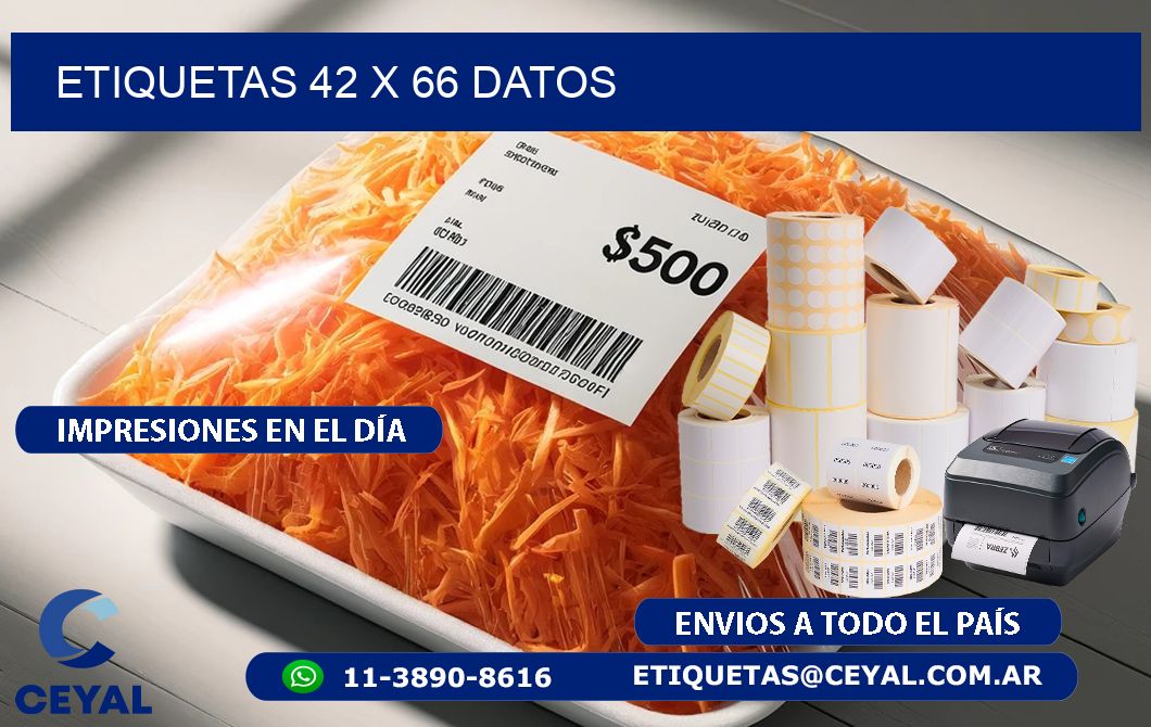 ETIQUETAS 42 x 66 DATOS