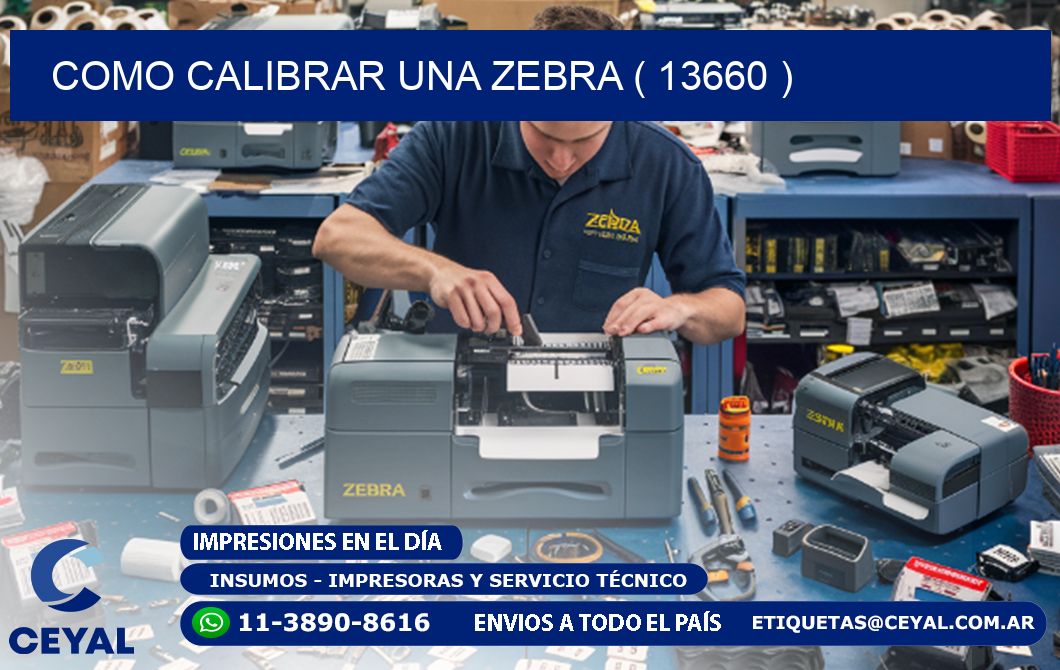 COMO CALIBRAR UNA ZEBRA ( 13660 )
