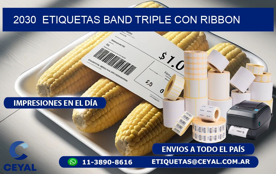 2030  ETIQUETAS BAND TRIPLE CON RIBBON