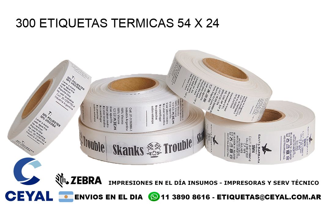 300 ETIQUETAS TERMICAS 54 x 24