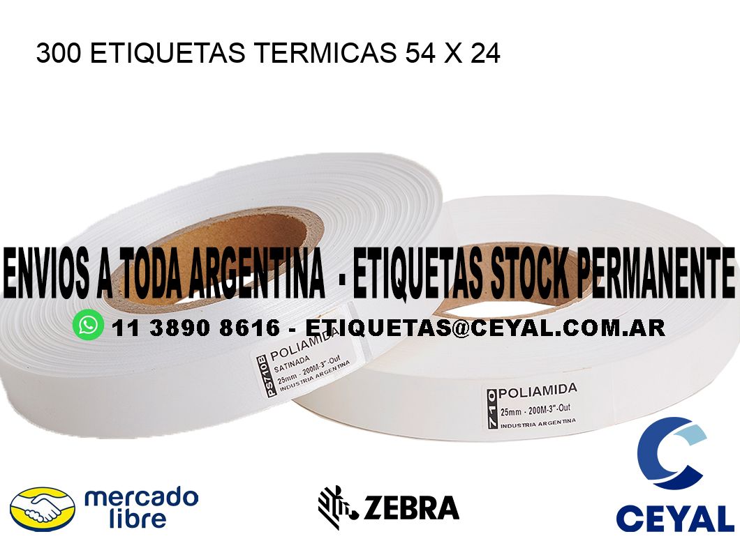 300 ETIQUETAS TERMICAS 54 x 24