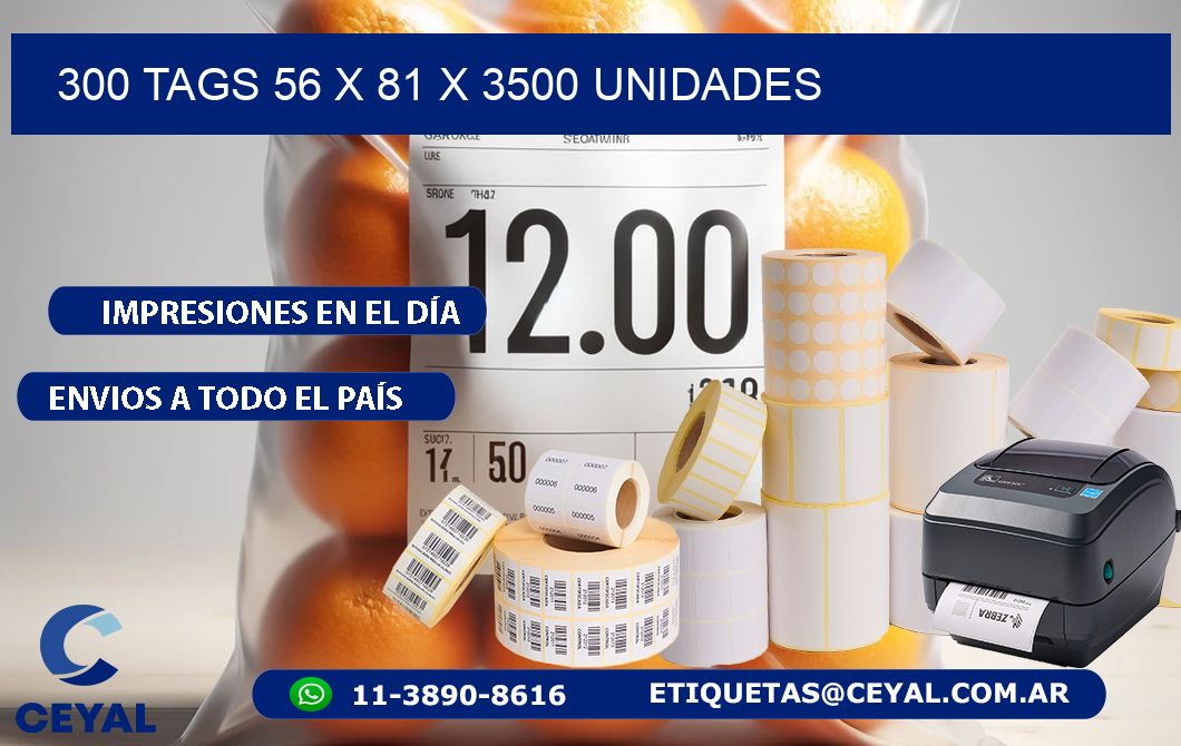 300 TAGS 56 x 81 X 3500 UNIDADES